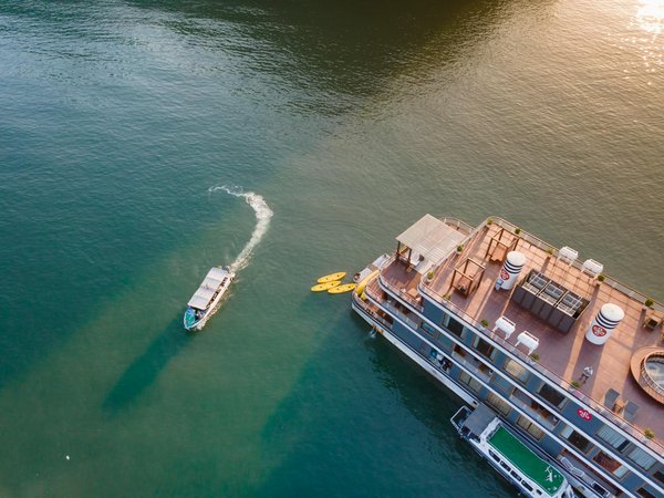 Mastering the Bow: Your Ultimate Guide to British Archery Workshops for Visitors